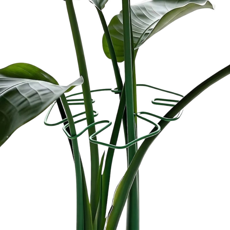 19cm Large Metal Plant Stem Support Green Monstera Climbing Stabilizer Decorative Leaf Design