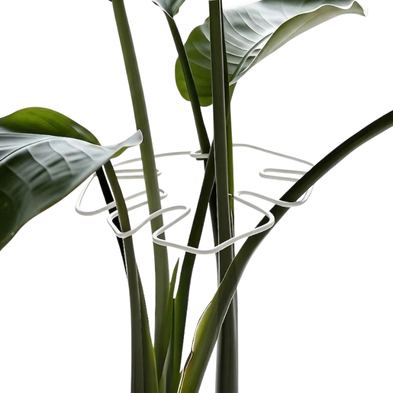 16cm Small Metal Plant Stem Support White Monstera Climbing Stabilizer Decorative Leaf Design
