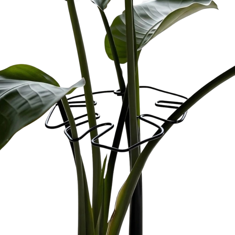 16cm Small Metal Plant Stem Support Black Monstera Climbing Stabilizer Decorative Leaf Design