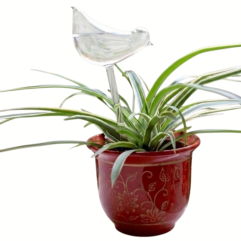 5 Piece Bird-Shaped Self-Watering Plant Globes Automatic Drip Irrigation Device