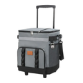 35L Portable Gray Rolling Cooler Bag with Wheels Telescopic Handle for Camping Picnic Beach and Travel