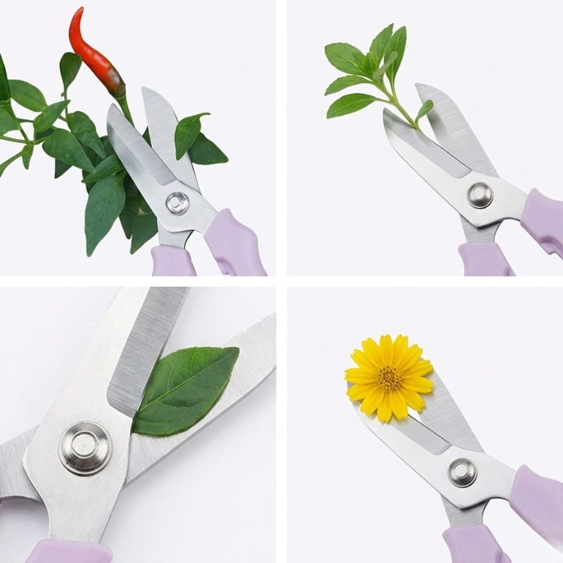 6 Piece Purple Bonsai Scissors Pruning Shears Stainless Steel Floral Cutting Tool Set