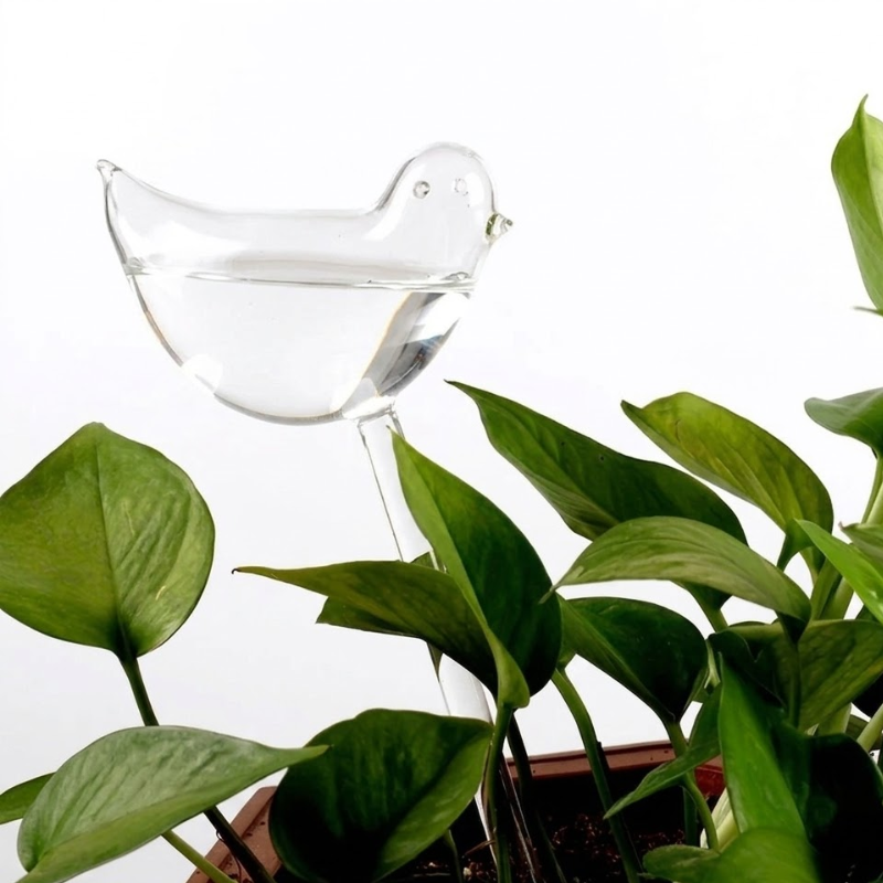 5 Piece Bird-Shaped Self-Watering Plant Globes Automatic Drip Irrigation Device