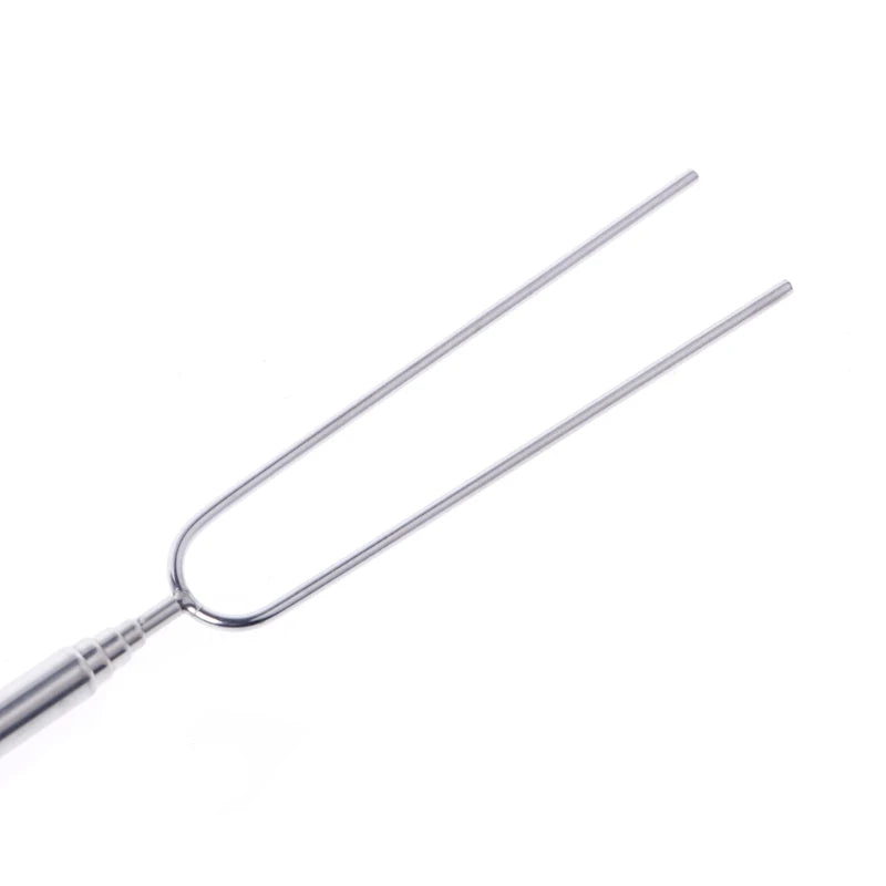 Telescoping BBQ Roasting Stick Stainless Steel Campfire Fork with Wood Handle