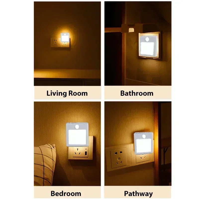 AU Plug LED Motion Sensor Night Light Adjustable Brightness Warm and White Light
