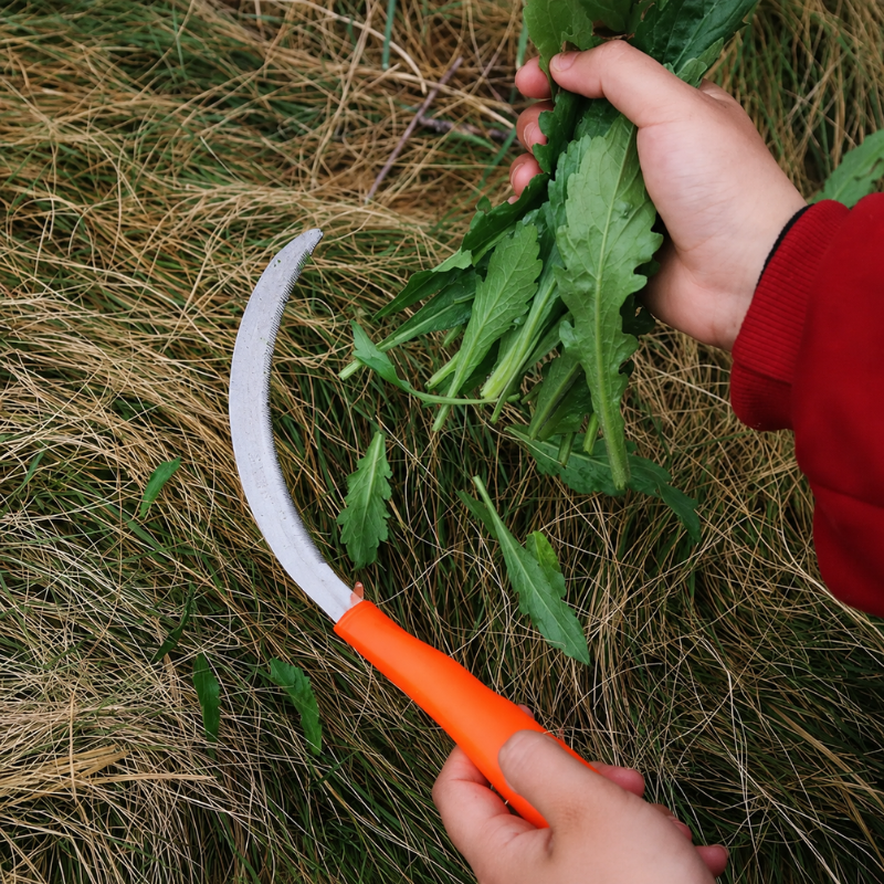 Garden Weeding Sickle Stainless Steel Hand Tool with Non Slip Handle for Gardening and Harvesting